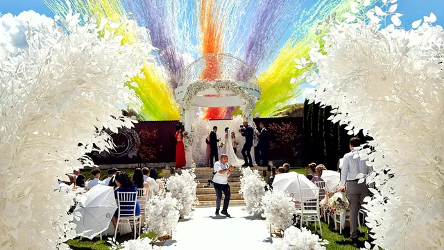 Artificii de zi și gender reveal — Just Roses